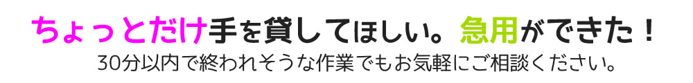 ちょっとだけ手を貸してほしい。急用ができた！30分以内で終われそうな作業でもお気軽にご相談ください。